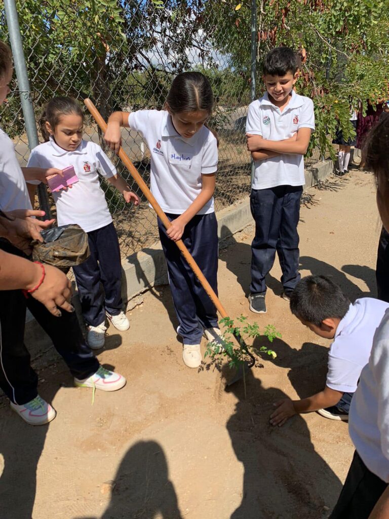 Ayuntamiento de Choix emprende la campaña “Planta un árbol con amor”